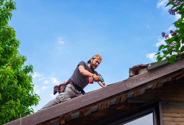 Best Solar Panel Roofing Installation  in Decatur, AR